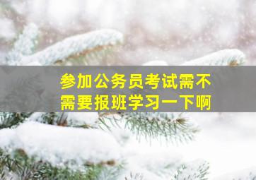 参加公务员考试需不需要报班学习一下啊