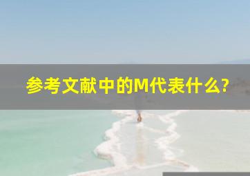 参考文献中的M代表什么?