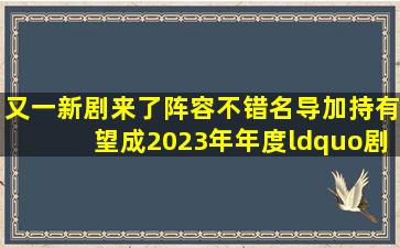 又一新剧来了,阵容不错,名导加持,有望成2023年年度“剧王”