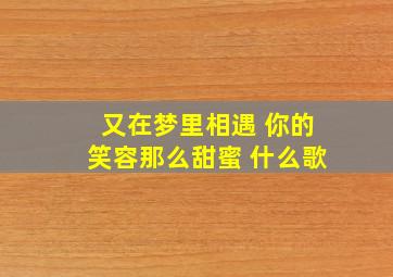 又在梦里相遇 你的笑容那么甜蜜 什么歌