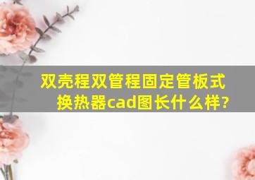 双壳程双管程固定管板式换热器cad图长什么样?