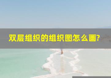 双层组织的组织图怎么画?