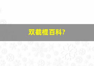 双截棍百科?