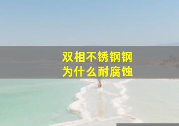 双相不锈钢钢为什么耐腐蚀