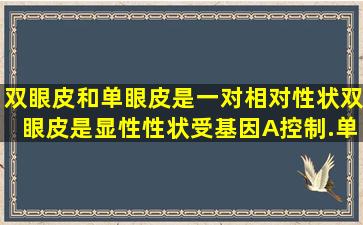 双眼皮和单眼皮是一对相对性状,双眼皮是显性性状,受基因(A)控制.单...