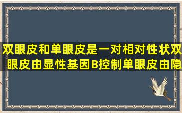 双眼皮和单眼皮是一对相对性状,双眼皮由显性基因B控制,单眼皮由隐性...