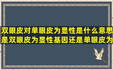 双眼皮对单眼皮为显性是什么意思(是双眼皮为显性基因还是单眼皮为