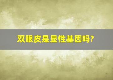 双眼皮是显性基因吗?