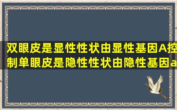 双眼皮是显性性状(由显性基因A控制),单眼皮是隐性性状(由隐性基因a...