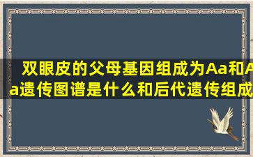 双眼皮的父母基因组成为Aa和Aa遗传图谱是什么和后代遗传组成有哪