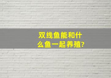 双线鱼能和什么鱼一起养殖?