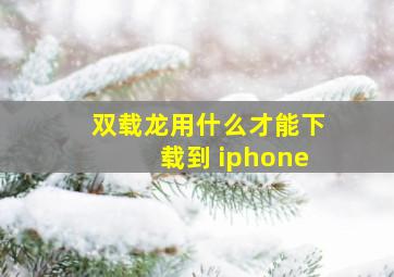 双载龙用什么才能下载到 iphone