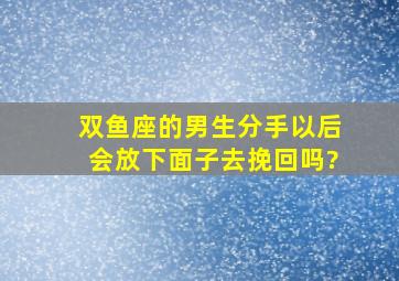 双鱼座的男生分手以后,会放下面子去挽回吗?