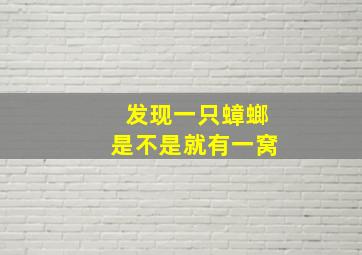 发现一只蟑螂是不是就有一窝(