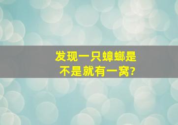 发现一只蟑螂是不是就有一窝?