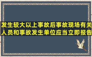 发生较大以上事故后,事故现场有关人员和事故发生单位应当立即报告...