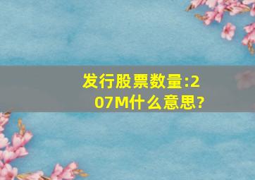 发行股票数量:207M什么意思?