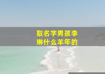 取名字男孩李琳什么羊年的