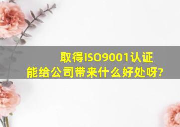 取得ISO9001认证能给公司带来什么好处呀?