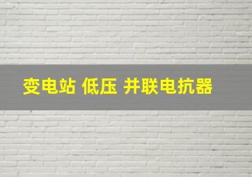 变电站 低压 并联电抗器 