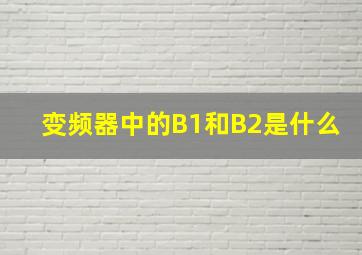 变频器中的B1和B2是什么