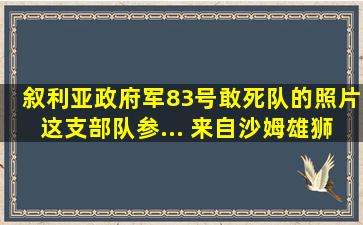 叙利亚政府军83号敢死队的照片这支部队参... 来自沙姆雄狮