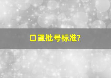 口罩批号标准?