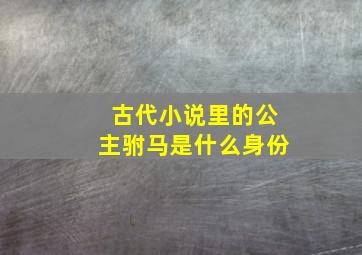 古代小说里的公主驸马是什么身份(