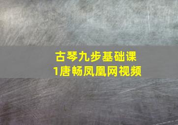 古琴九步基础课(1)唐畅凤凰网视频