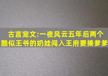 古言宠文:一夜风云,五年后两个酷似王爷的奶娃闯入王府要揍爹爹