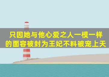 只因她与他心爱之人一模一样的面容,被封为王妃,不料被宠上天