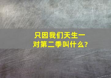 只因我们天生一对第二季叫什么?