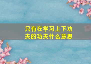 只有在学习上下功夫的功夫什么意思