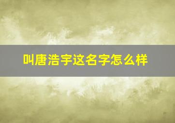 叫唐浩宇这名字怎么样