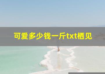 可爱多少钱一斤txt栖见