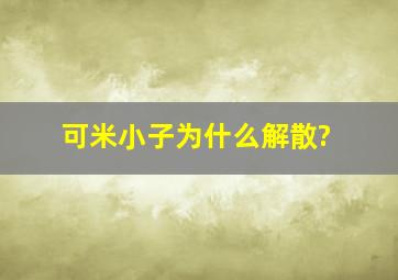 可米小子为什么解散?