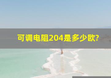 可调电阻204是多少欧?