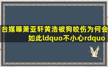 台媒曝萧亚轩黄浩被狗咬伤,为何会如此“不小心”?