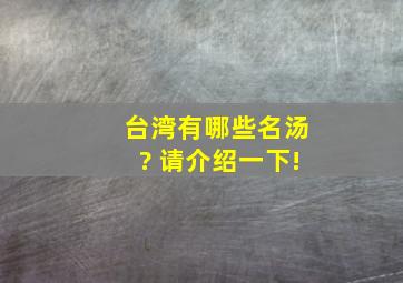 台湾有哪些名汤? 请介绍一下!