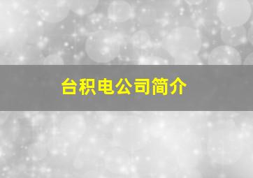 台积电公司简介