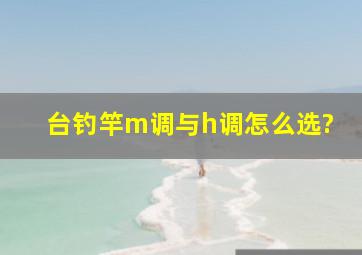 台钓竿m调与h调怎么选?