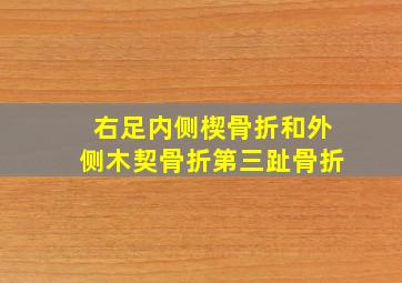 右足内侧楔骨折和外侧木契骨折,第三趾骨折