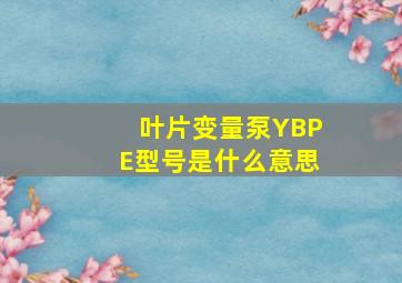 叶片变量泵YBPE型号是什么意思