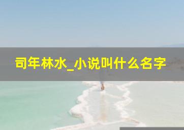 司年林水_小说叫什么名字