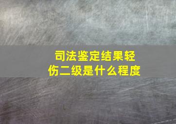 司法鉴定结果轻伤二级是什么程度