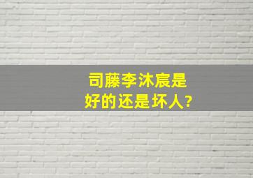 司藤李沐宸是好的还是坏人?