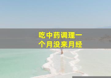 吃中药调理一个月没来月经