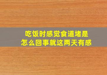 吃饭时感觉食道堵是怎么回事就这两天有感