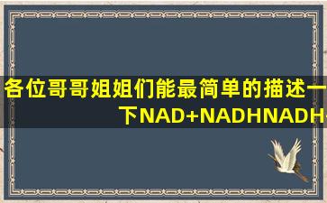 各位哥哥姐姐们,能最简单的描述一下NAD+,NADH,NADH+H+之间的...