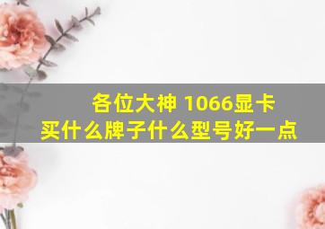 各位大神 1066显卡买什么牌子什么型号好一点